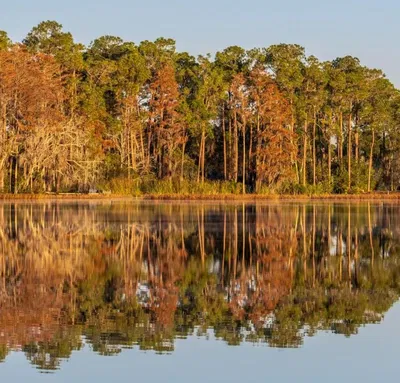 Davenport Florida, Florida
