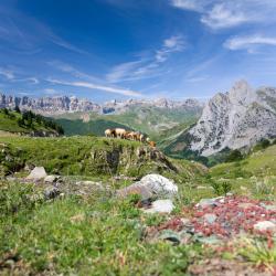 Pyrénées Hotels Find