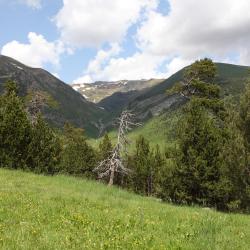 Sant Julià de Lòria Hotels Find