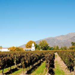 Cafayate Hotels Find