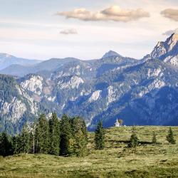 Salzburg Hotels Find