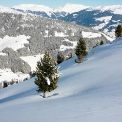 Zillertal Hotels Find