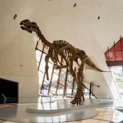 National Museum of Australia, Canberra Hotels Find