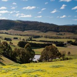 Victoria Hotels Find