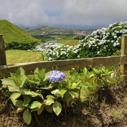 Serra Gaucha Hotels Find