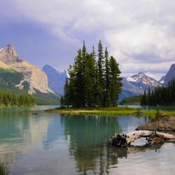Jasper National Park Hotels Find