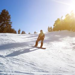 Silver Star Hotels Find