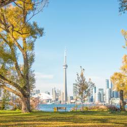 Toronto Hotels Find