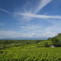 Baden-Württemberg Hotels Find