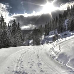 Feldberg Hotels Find