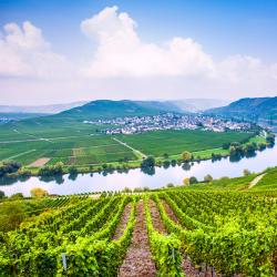 German Mosel Hotels Find