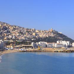 Alger Hotels Find