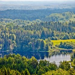 Võrumaa Hotels Find