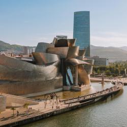 Guggenheim Museum Bilbao, Bilbao Hotels Find