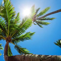 Pacific Harbour Hotels Find