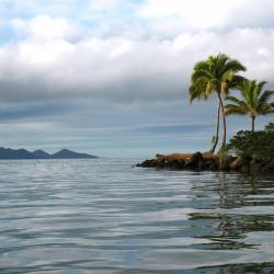 Suva Hotels Find
