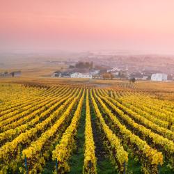 Champagne Hotels Find