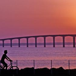 Island of Ré Hotels Find