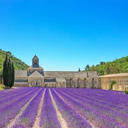 Provence Hotels Find