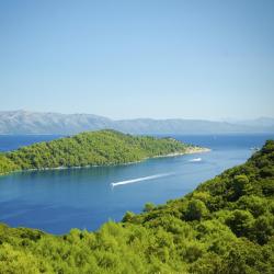 Mljet Island Hotels Find