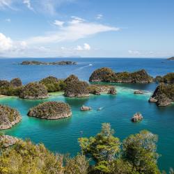 Raja Ampat Hotels Find