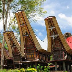 Sulawesi Hotels Find