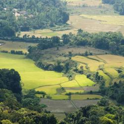 Coorg Hotels Find