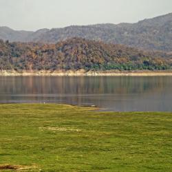 Jim Corbett National Park Hotels Find