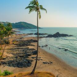 North Goa Hotels Find