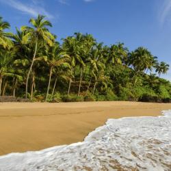 South Goa Hotels Find