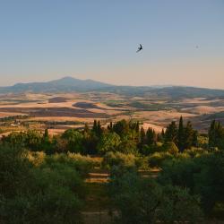 Tuscany Hotels Find