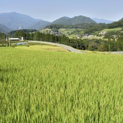 Miyazaki Hotels Find