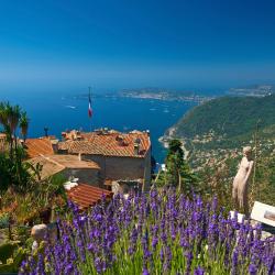 Exotic Garden of Monaco, Monte Carlo Hotels Find