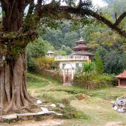 Bandipur Hotels Find