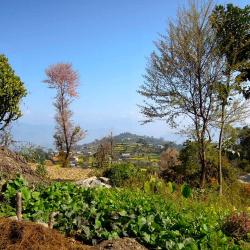 Dhulikhel Hotels Find