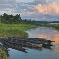 Sauraha Hotels Find