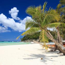 Boracay Hotels Find