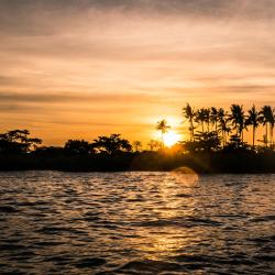 Mactan Island Hotels Find