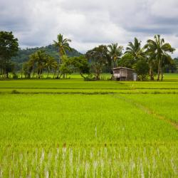 Mindoro Hotels Find