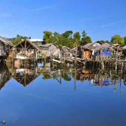 Puerto Princesa Hotels Find