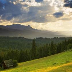 Gmina Bukowina Tatrzanska Hotels Find