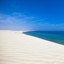Mesaieed Hotels Find