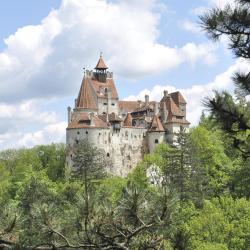 Bran Castle, Bran Hotels Find