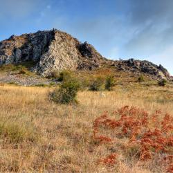 Slanic Prahova Hotels Find