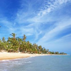 Koh Samui Hotels Find