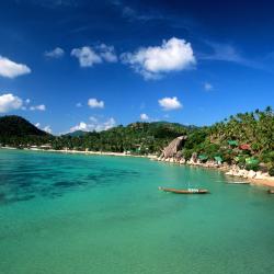 Koh Tao Hotels Find