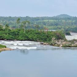 Jinja Hotels Find