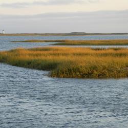 Cape Cod Hotels Find