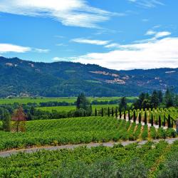 Napa Valley Wine Country Hotels Find
