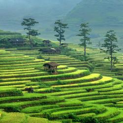 Ha Giang Hotels Find